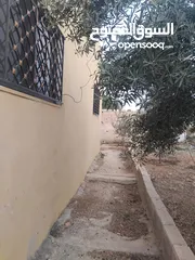  19 بيت للبيع في قريه دليله المطيرات شرق مادبا