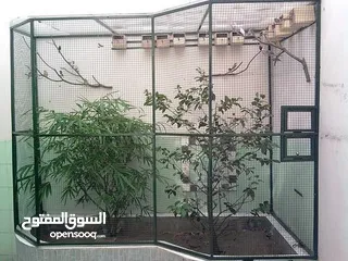  1 cage for garden