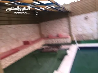 10 شاليه مميز للايجار  الغور  البحر الميت  للايجار   يومي او اسبوعي او شهري بسعر  منافس جدا.
