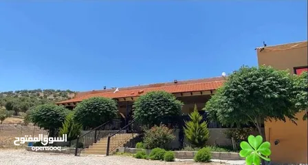  8 مزرعة وشاليه
