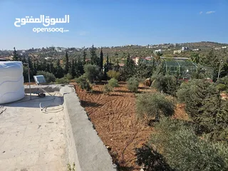  11 Farm for sale