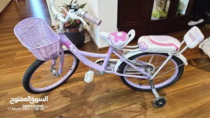  2 kids bicycle