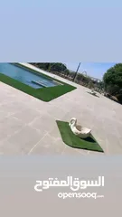  2 عشب صناعي وموكيت وسجاد ومحاربيب جوامع وجداري