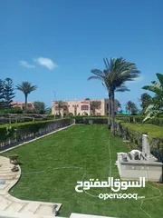  1 نجيل طبيعي بسبيلم بيور