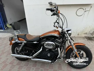  4 Harley Davidson Sportster Custom 1200