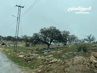  4 ارض على شارع الكاشف الرئيسي - بدر