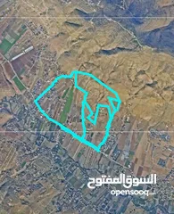  4 ارض للبيع في نابلس - طلوزة  نمرتين 2 دونم  تابع اراضي طلوزة