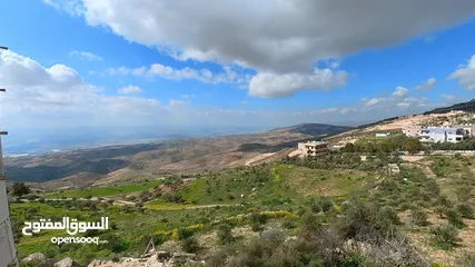  1 تملك ارض سكنية بالقرب من شارع الستين بإطلالة خلابة على جبال فلسطين ومزروعة زيتون