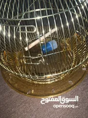  1 قفاص عصافير للبيع