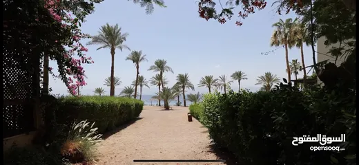  11 Apartment in Talabay Aqaba for sale