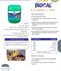  13 داون سفن مصنع سماد الشمال