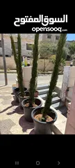  6 شقه للاجار