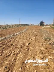  1 للبيع ارض الدجنية يوجد 3 قطعه