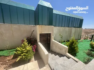  17 شيليه و مزرعة  للبيع او للايجار