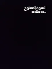  9 حساب بلوكس فروت للبيع  لفل 550  فواكه نادرة  فلوس 2,500,000  توزيع ممتاز  قابل للتفاوض