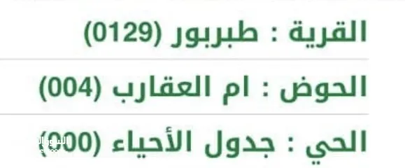  3 قطعة ارض مميزة للبيع في طبربور 1035م خلف حديقة زها طبربور، شارع الاميرة علياء، العاصمة عمّان