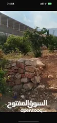  8 أرض زراعية او سكنية للبيع 2 دونم و 580 متر