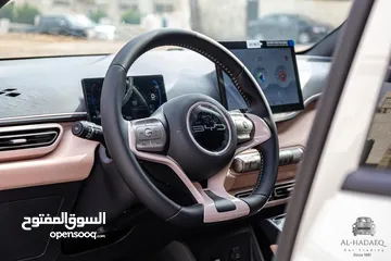  10 BYD SEAGULL 2023 ممشى (14 الف كم )