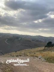  3 السلط السرو