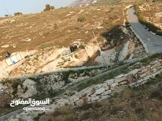  1 ابو وائل عليوي
