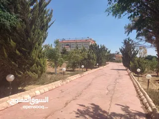  10 مادبا حواره مزرعه للبيع