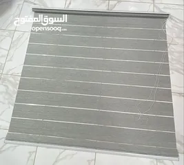  1 برادي زيبرا – لون سكّني راقٍ يضيف هدوء وأناقة