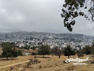 9 ارض للبيع أجمل مناطق وادي السير موقع هادئ ومطل  ممتاز للبناء أو الاستثمار من المالك مباشرة