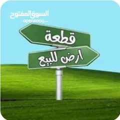  2 دنم و38 متر