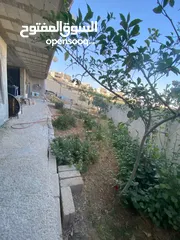  6 بيت مستقل للبيع في حي المغيرات