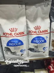  1 اكل قطط اندور رويال كانن