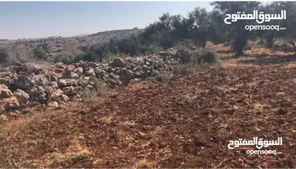  4 تملّك أرض مميزة