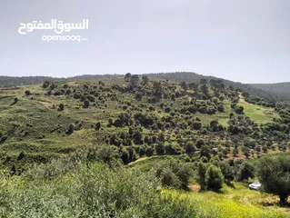  1 أرض مميزة جداً لعمل شاليه استثماري أو مزرعة خاصة أو مزرعة تجارية يوجد بها قناة ماء من المالك مباشرة
