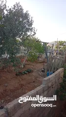  7 بيت مستقل طابقين