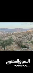  1 ارض منطقة أ ذات أبعاد واطلاله مميزة 1101 متر كوشان مفروز