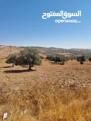  1 #ارض زراعية مساحة 8620م في منطقة #نادرة على الشارع الرئيسي مباشرة