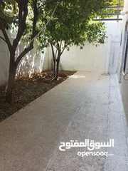  1 ستديو فارغ طابق ارضي مع تراس ومدخل مستقل في تلاع العلي للإيجار 125دينار