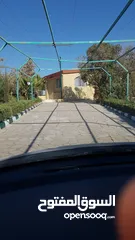  20 مزرعة للبيع ، بها بيت