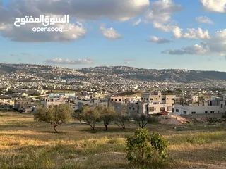  1 ام الدنانير حوض ابو زعروره 472م سكن ج شارع 12م مربعه واجهه 21م واجهه جنوبيه حي فلل هادئ مرتغعه