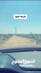  1 مزرعه للبيع