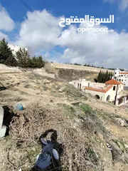 3 قطعه ارض للبيع مساحتها 750 م قرب القصور الملكيه حي الرحمانيه حوض المنش رقم القطعه 234
