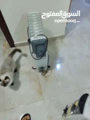  4 مدفاة هوائيه Oil redaitor heater