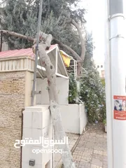  5 موقع يصلح لانشاء مطعم او مني ماركت او صالون سيدات اومني ماركت