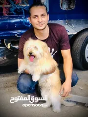  9 فرنش تيرير بيور  اناثي 2