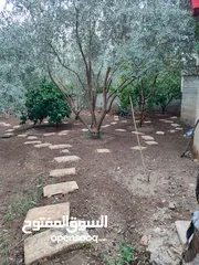  11 بيت منفصل مع حديقة للبيع بسبب السفر طولكرم شارع كتابا قرب حلويات البدر وجامع القيسي