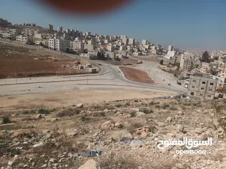  5 ارض للبيع بمنطقه المرقب
