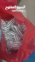  1 تصقيه محل شروة تي شيرت مقلم عدد 200 ومشكل عدد 60 + قميص نص كم عدد 50