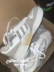  1 Adidas forum low