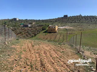  27 منزل ومزرعة للبيع في منطقة المريجمة-مادبا