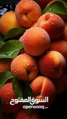  20 الفواكه والخضروات بالجملة / fruit and vegetables wholesale