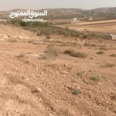  5 قطعة ارض شرق جرش مرويه من بئر ارتوازي مطله ومرتفعه بسعر مغري متوفر أكثر من 50 قطعه في نفس المنطقه